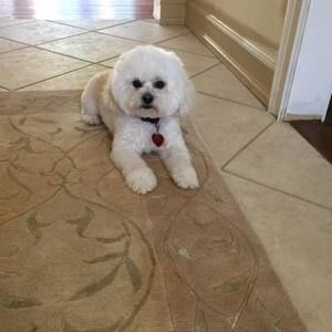 Meet your Posher, Philip